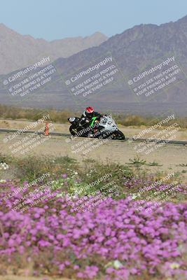 media/Feb-04-2023-SoCal Trackdays (Sat) [[8a776bf2c3]]/Turn 15 Inside Blooming (1050am)/